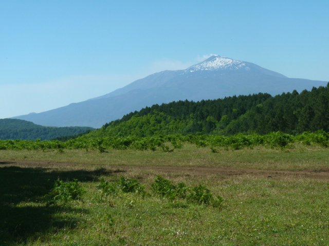 esc2011061908