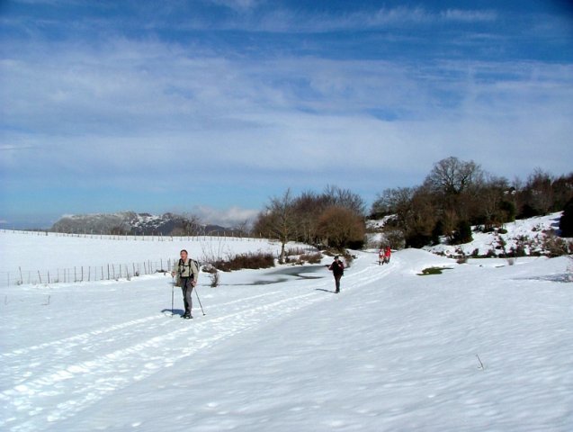 esc2012022607